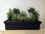 herb-displays 016